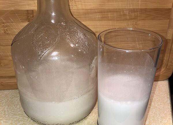 Bottle and glass of homemade allergy friendly coconut milk