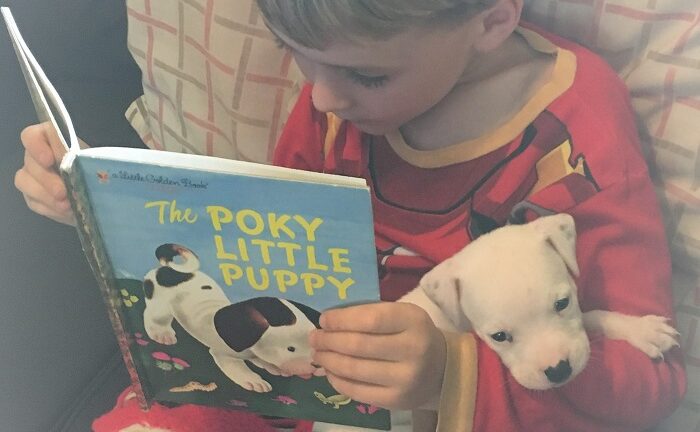 an allergy child with reading to his dog