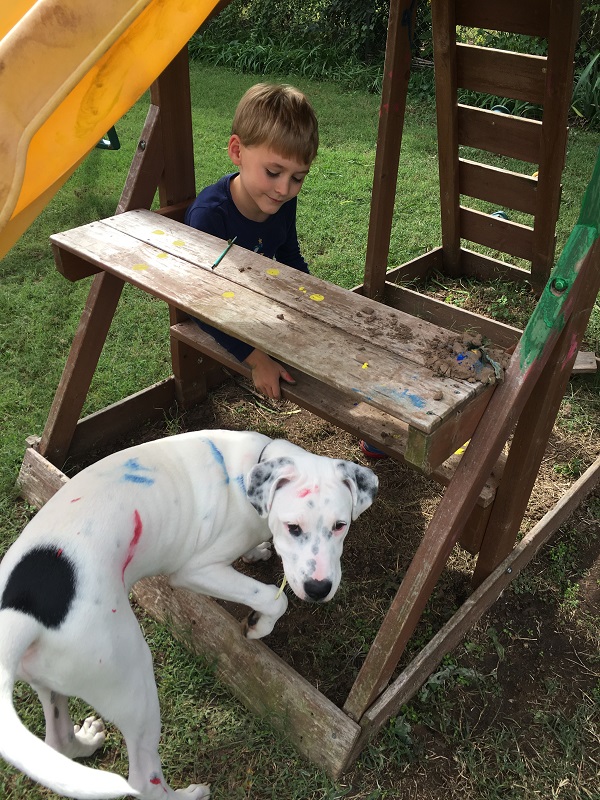 A boy and his dog painting.  The dog has paint on him. 